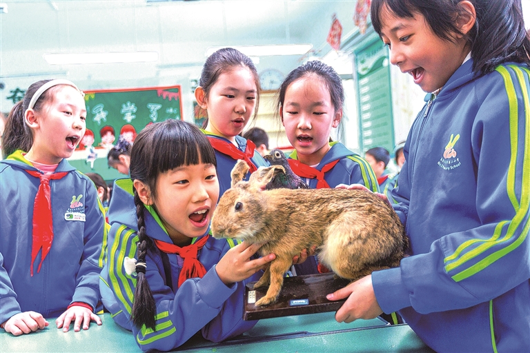 科普进课堂