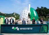咳嗽气短勿拖延！八达岭长城巨型蜂窝肺艺术装置，警示肺纤维化致命危害