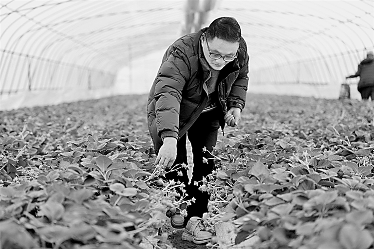 新农科，瞄准农业需求育栋梁