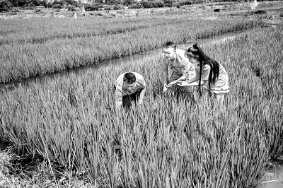 点亮乡村孩子的“精神天空”